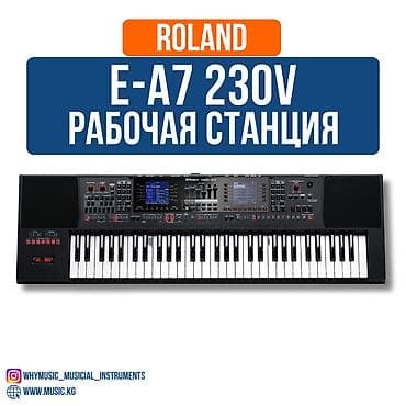 Музыкальные инструменты: E-A7 - Аранжировщик с возможностью расширения Более 1500 тонов — 1