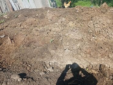 кукуруза местная: Перепревший органический навоз/компост для огорода и сада Описание: - — 1