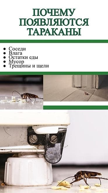 технолог швея: Дезинфекция, дезинсекция, | Тараканы, | Квартиры — 5