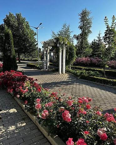 кашар ысык кол: Коттедж, Карвен 4 сезона, Сары-Ой, 9 орун — 2