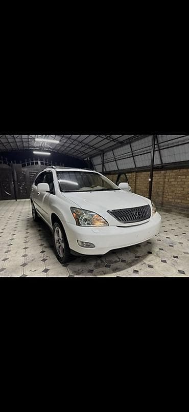 discovery 3: Lexus RX: 2004 г., 3.3 л, Автомат, Газ, Кроссовер — 3