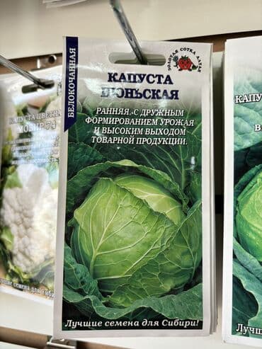 морковь семена: Семена капусты «Колобок» «Амагер 611» «Московская Поздняя 15» «Слава — 8