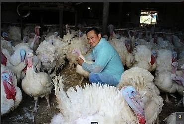 Үй жаныбарлары: 🐎 Стимулятор набора веса со стволовыми клетками костный жир со — 9