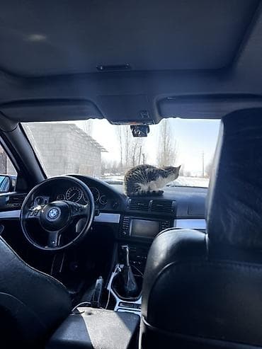 тд 2 9: BMW 5 series: 2001 г., 3 л, Механика, Бензин, Седан — 5