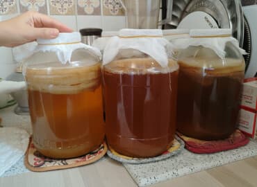 бета чай: Домашний комбуча (чайный гриб) в 3х л. стеклянных банках. Самовывоз — 1