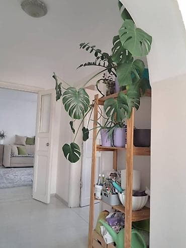 batir service: Продаётся чудесный, тёплый и уютный дом! Участок — 10 соток — 5