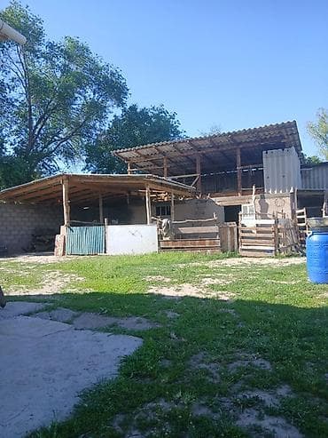 с участком: Дом с хозяйственными постройками и большим участком. Описание: - — 2