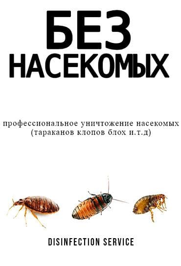 Клининговые услуги: Дезинфекция, дезинсекция, | Тараканы, | Кафе, магазины, Офисы, Дворы — 2