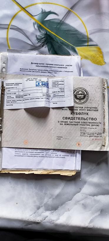 снять маленький склад: 100 соток, Для сельского хозяйства, Договор купли-продажи — 3