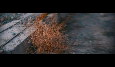 фото увеличитель: Продам Анаморфную насадку. Ищете способ добавить кинематографичности — 8