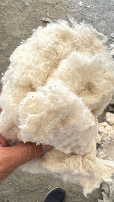 холлофайбер цена: Хлопковый линт Вата прима Текстильные отходы Вата 25кг-й(тай пахта) — 4