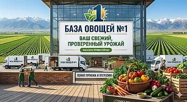 Бананы: База овощей №1 Преимущества: - Отбор по калибру и спелости. - — 1