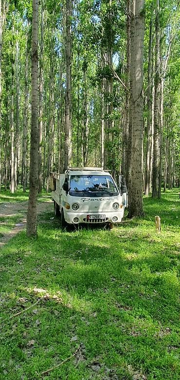 авто портер: Легкий грузовик, Hyundai, Стандарт, 1,5 т, Б/у — 5
