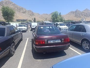 рул мерс 124: Audi 80: 1993 г., Кол менен иштөөчү, Седан — 1