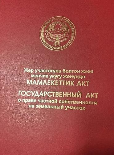 чон арыке: 4 соток, Курулуш, Кызыл китеп — 1