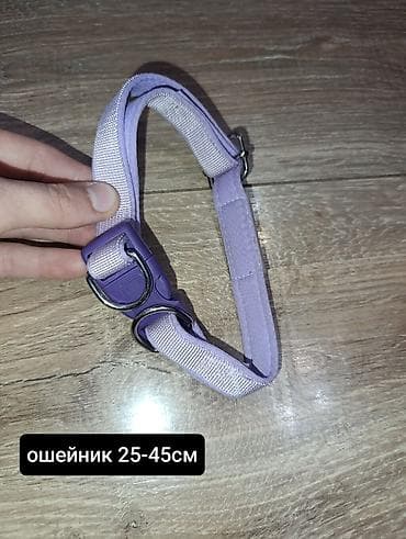 мышка ош: Продаю б/у амуницию для собак мелких и средних пород. оптом - 1350 — 6