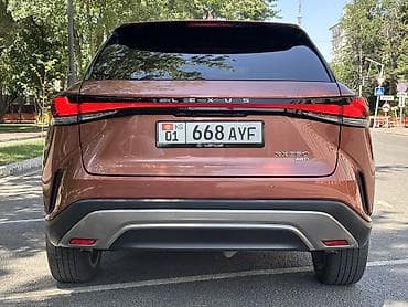 step 2: Lexus RX: 2023 г., 2.4 л, Автомат, Бензин, Кроссовер — 10