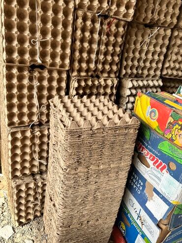 кой кыркыч: Лоток для яиц любое количество — 2