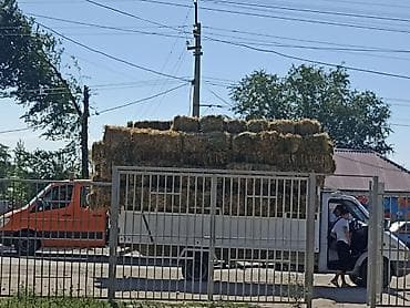 кажы сай: Экспорцет аралаш 180 доставка есть — 1