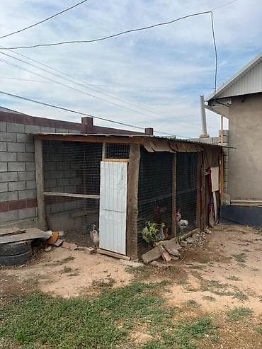 110: 🏡 **ПРОДАЁТСЯ ДОМ В ЖИЛМАССИВЕ ОСКОН-ОРДО** Отличный вариант для — 3