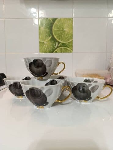 парта для школьника цена бишкек: Обращаться по телефону Фарфоровые чашки 5 шт - Материал: тонкий — 3