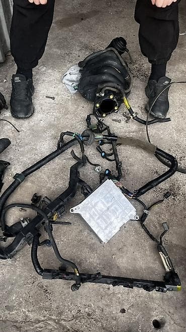 Проводка двигателя + ЭБУ и комплект навесных элементов Состав: - Жгут