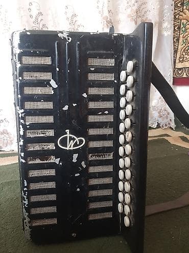 ваеный формы: Баян кнопочный, классическая двухрядная модель с правой и левой — 5