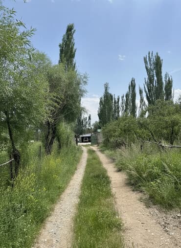 бишкек дом с магазином: Дача, 141 м², 7 комнат, Собственник, ПСО (под самоотделку) — 2