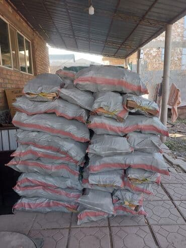 IPhone 15, Розовый