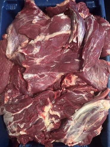 мясо в бишкеке цена: Говядина : Филе, Более 10 кг, Бесплатная доставка — 7