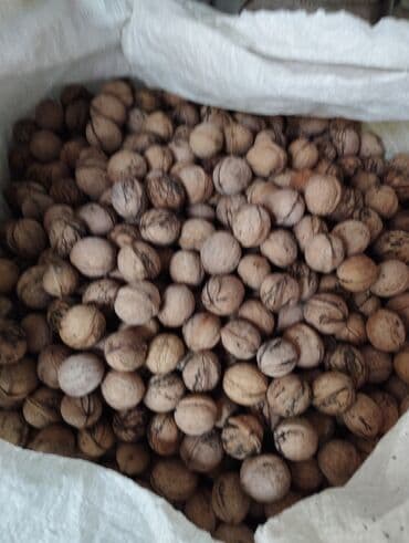 фруктовый букет бишкек: Продаю орехи этого года со своего сада — 2