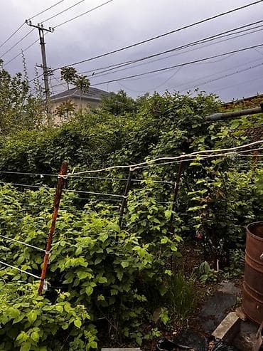 участок кызыласкер: Продаю дом с участком и садом в элитном уютном и спокойном районе — 3