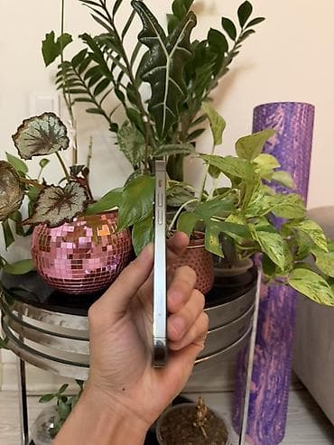 iphone 11mini: IPhone 12 Pro, Б/у, 256 ГБ, Графит, Кабель, 75 % — 5