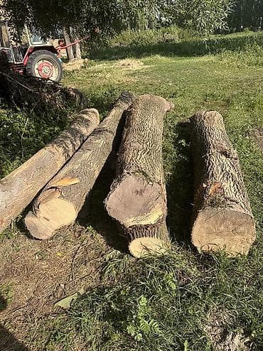 Бревна ЯСЕНЯ (крупный мерный лес)
Подходят для изготовления досок — 4