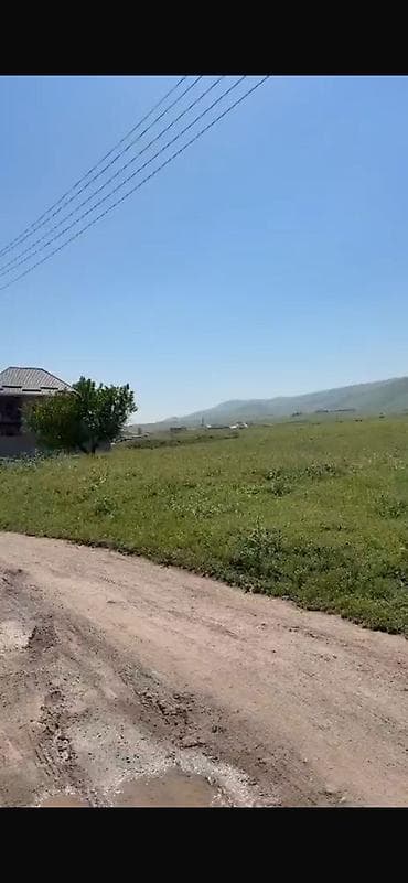 4 соток, Кызыл китеп, Сатып алуу-сатуу келишими