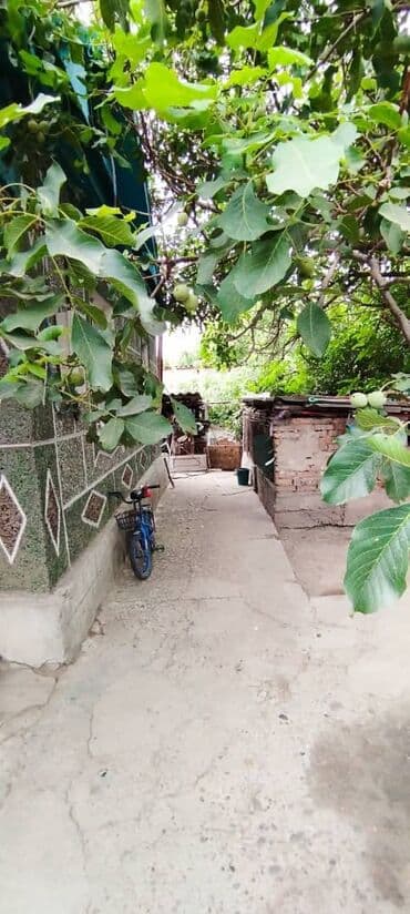 Үйдү ижарага алам: Үй, 70 кв. м, 5 бөлмө — 6