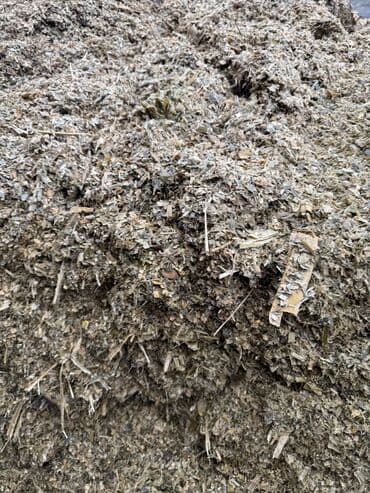 продать животных: Продаем Силос — 5