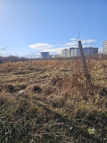 4 bedroom: 200 соток, Для сельского хозяйства, Договор купли-продажи — 1