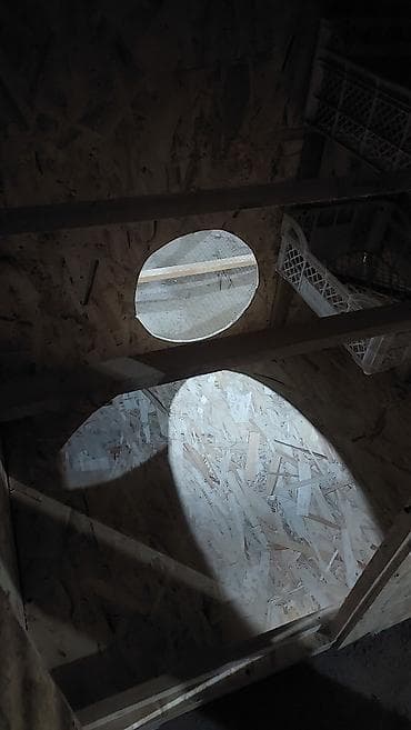 клетки для цыплят: 🔥🔥🔥Цена от 15.000 и выше смотря какая начинка и размеры Курятник с — 7