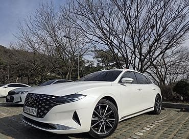 рещетка: Hyundai Grandeur: 2021 г., 3 л, Автомат, Газ, Седан — 1