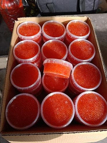 Бал: Продаю. Икру Форели слабосолёная, мягкая, свежая. Икра Фасовка по — 1