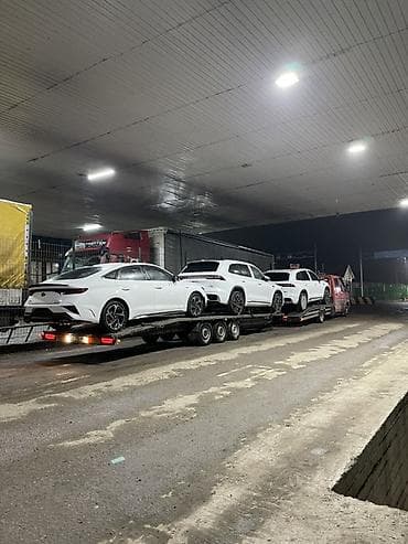 перевозка автомобиля: Прицеп 2018 NIEWIADOW Автовоз/эвакуатор для транспортировки — 1