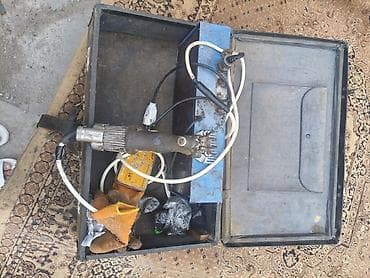 животные бишкек: Ассаляму алейкум Жигитер кой кыркам келишим баада Бишкек Чуй оронундо — 1