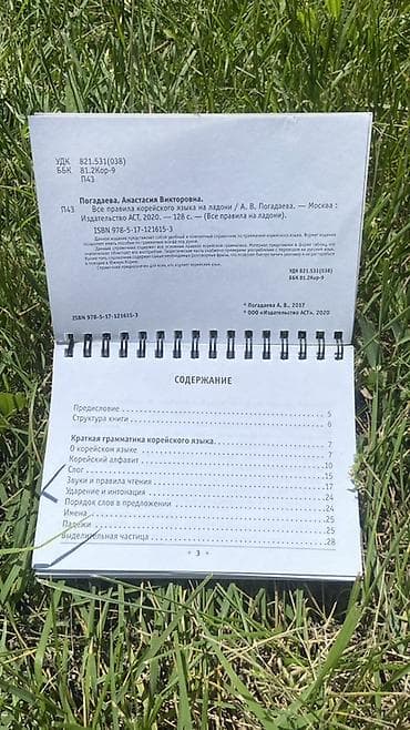 переписать конспект за деньги: Справочник «Все правила корейского языка на ладони» (издательство — 10