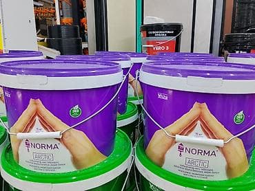 solutions third edition: Акриловая краска, Alina Paint Norma Arctic, Для стены, цвет - Белый, 15 кг, Матовая, Моющаяся — 1