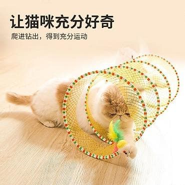 розовое офисное кресло: Весь комплект из 6 предметов - 2500 с. выгодная покупка для — 5