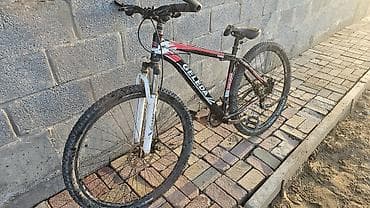 велосипеты: Горный велосипед, Geleda, Алюминий — 1