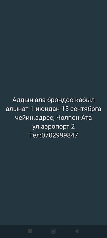иссык куль купить: Предлагается предварительное бронирование с 1 июня по 15 сентября — 1