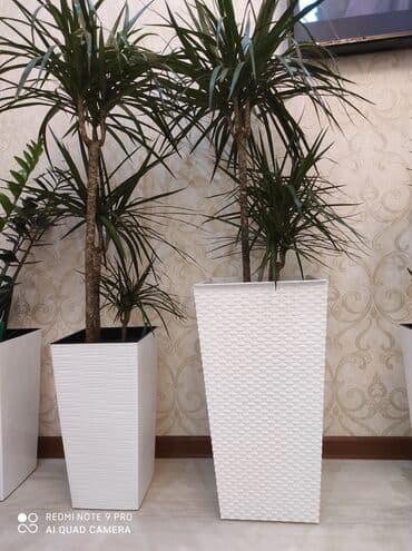 цветочница: Цветочные горшки
Россия, Турция, Польские
От 100с — 25