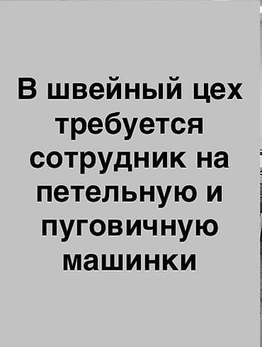 Huanghai: Пуговичник, Форма, Район: Восток-5 мкр, Оплата: Еженедельно, График работы: Шестидневка, Не студент at lalafo.kg — 1 Huanghai: Пуговичник, Форма, Район: Восток-5 мкр, Оплата: Еженедельно, График работы: Шестидневка, Не студент — 1